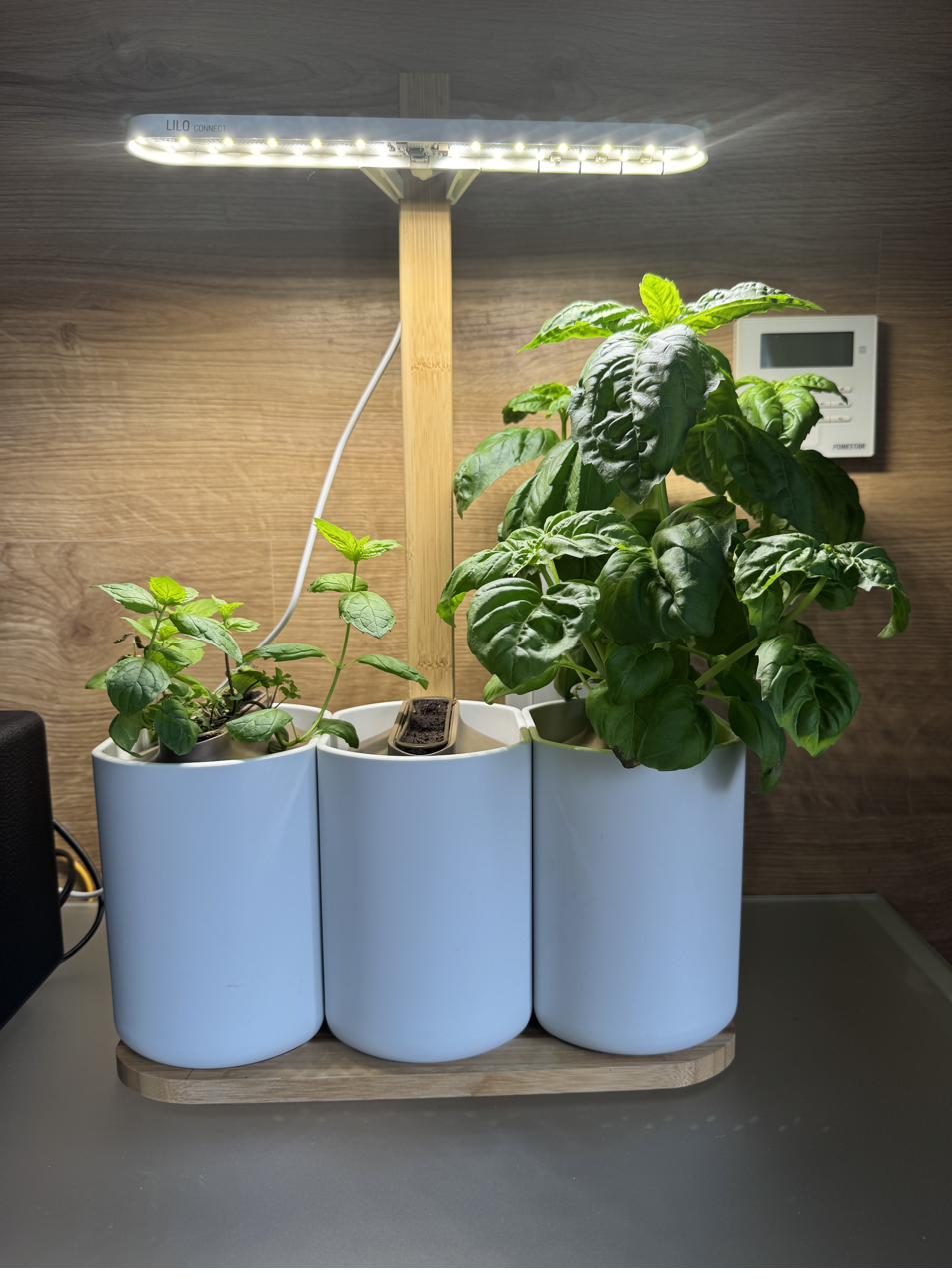 Horta indoor Lilo Connect com plantas e cápsulas