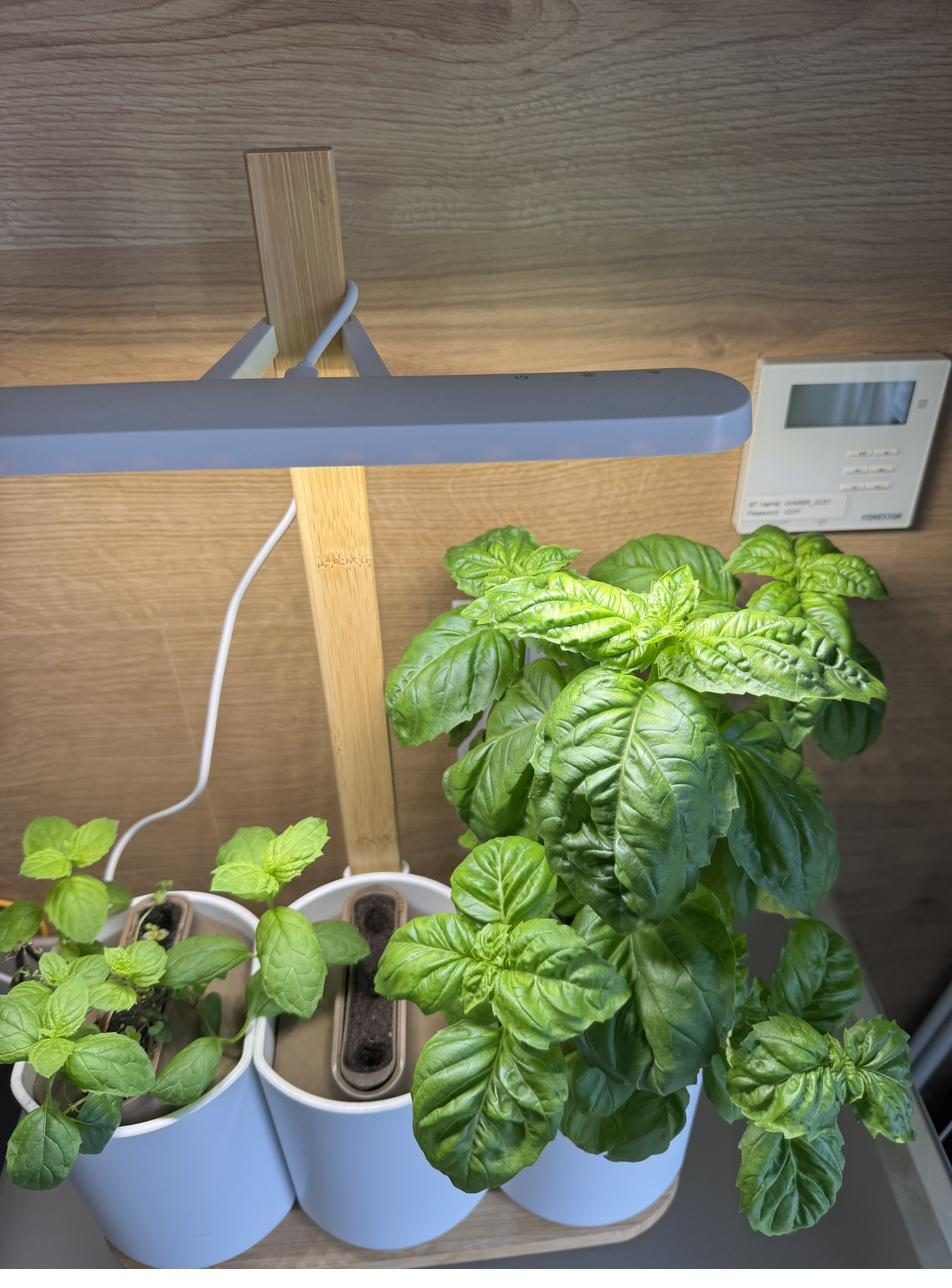 Horta indoor Lilo Connect com plantas e cápsulas